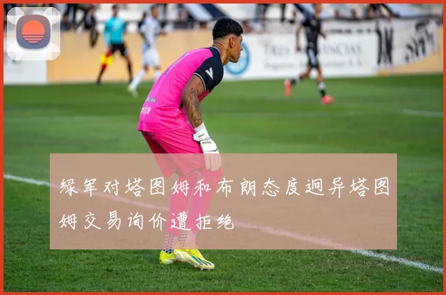 绿军对塔图姆和布朗态度迥异塔图姆交易询价遭拒绝